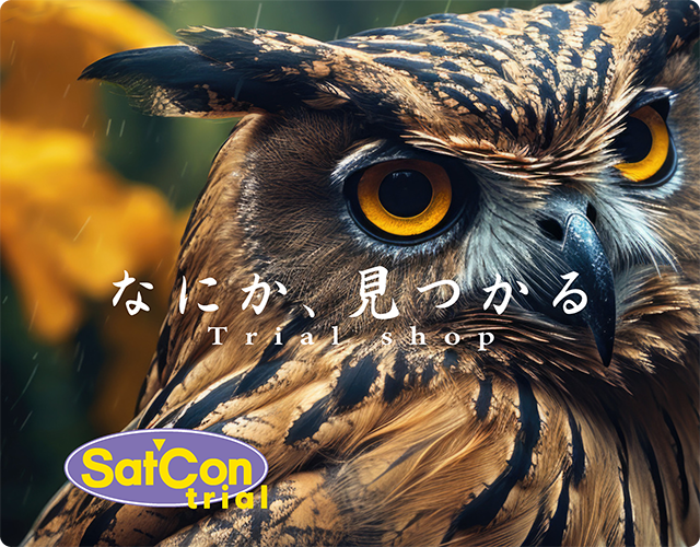 メインイメージSatConTrial